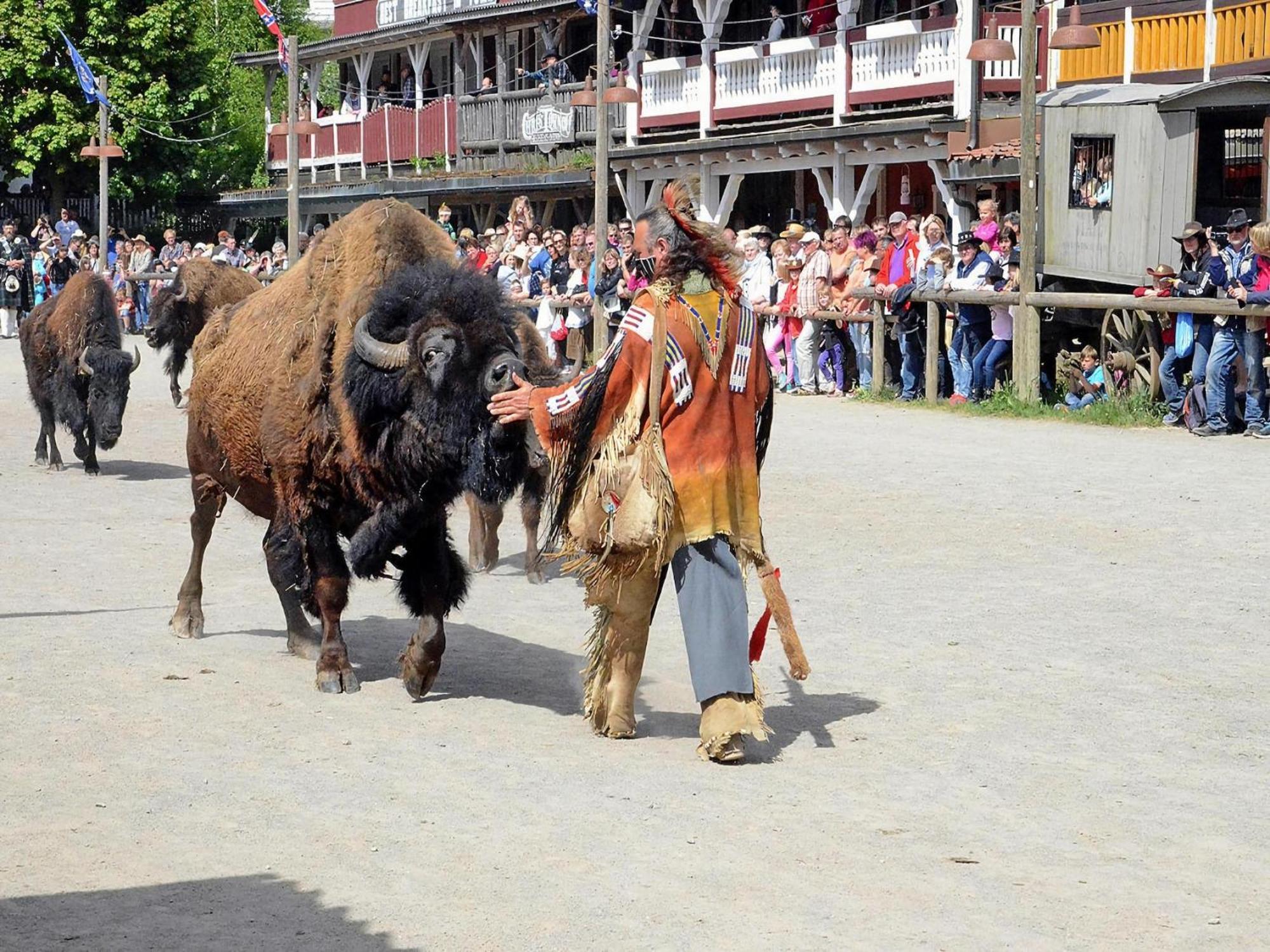 Holiday park Harz Hasselfelde - DMG03046-IYA Dış mekan fotoğraf
